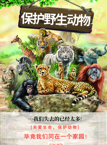 简约保护野生动物海报