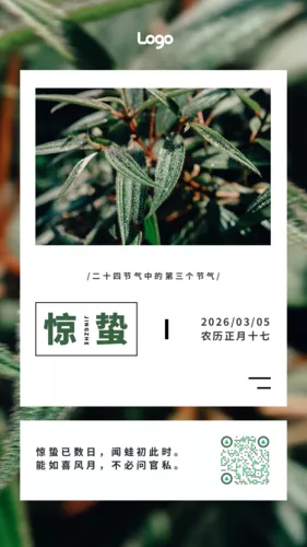 简约惊蛰节气手机海报