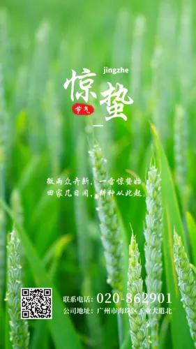 简约惊蛰节气手机海报