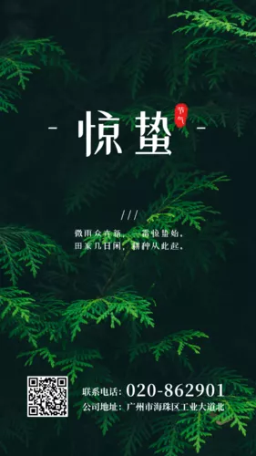 简约惊蛰节气手机海报