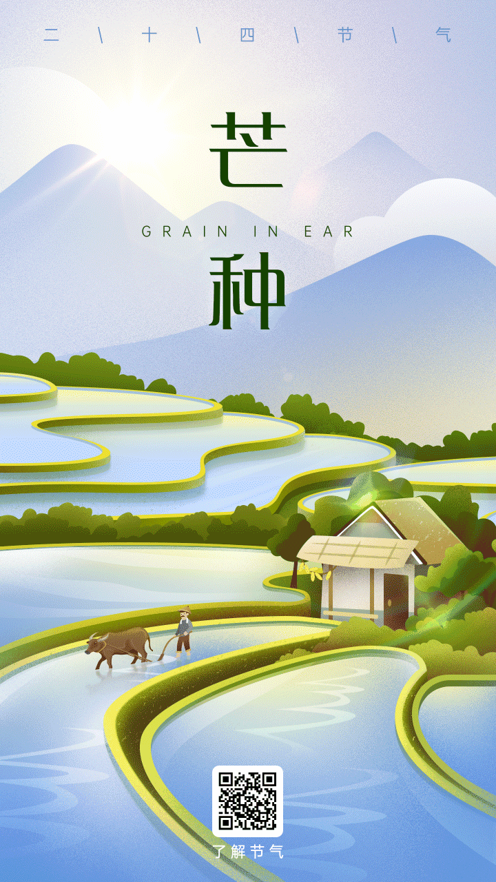 插画风芒种节气祝福动态手机海报