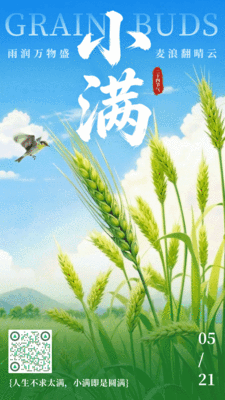 3D风清新麦穗小满节日祝福动态手机海报