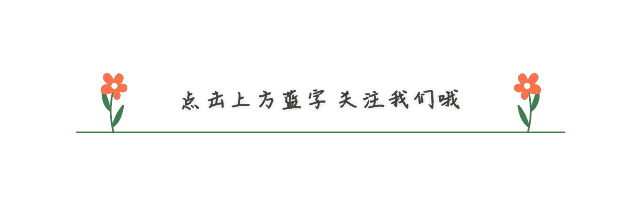 简约花朵引导关注