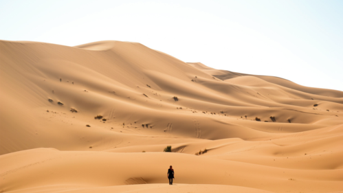 沙漠孤身行走电脑桌面壁纸