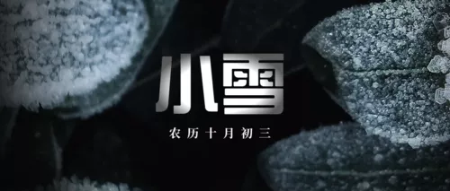 二十四节气之小雪公众号首页推图