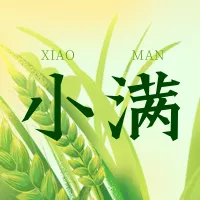 手绘风小满节气祝福问候公众号小图
