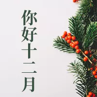 十二月你好公众号小图
