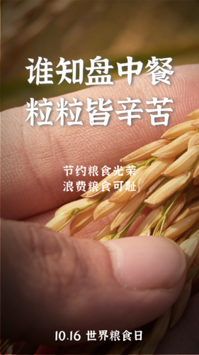 世界粮食日宣传页设计图片