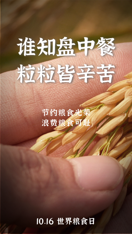 世界粮食日手机海报