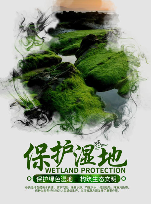 科幻风保护湿地海报