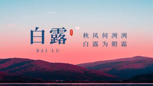 简约白露横板海报