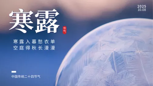 简约寒露横版海报