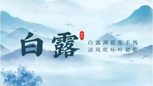 简约白露横版海报