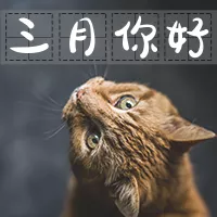 三月你好猫咪公众号小图