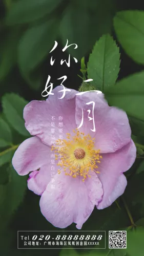 鲜花文艺你好二月手机海报