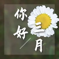 你好三月雏菊公众号小图