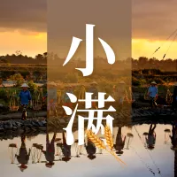 小满传统节气乡村实景丰收