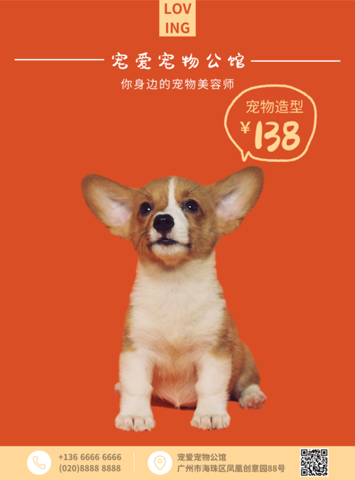 萌宠宠物可爱宣传海报