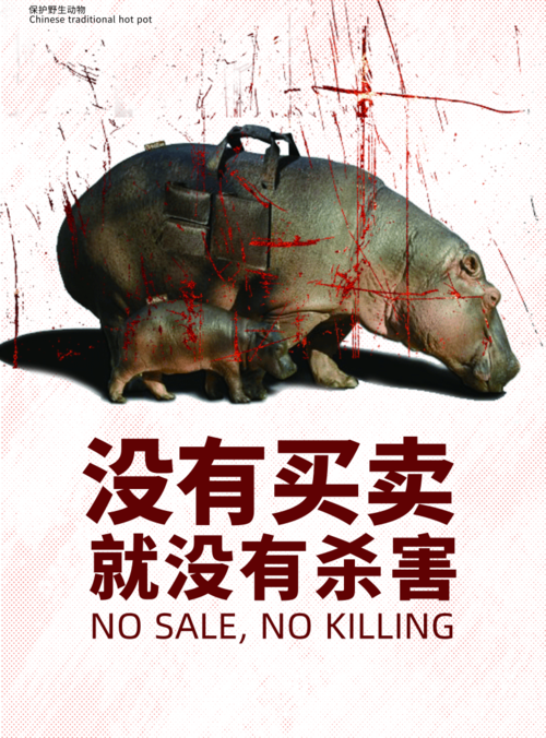 简约保护动物海报