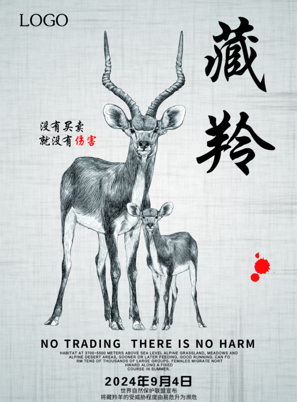 保护藏羚羊的海报图片