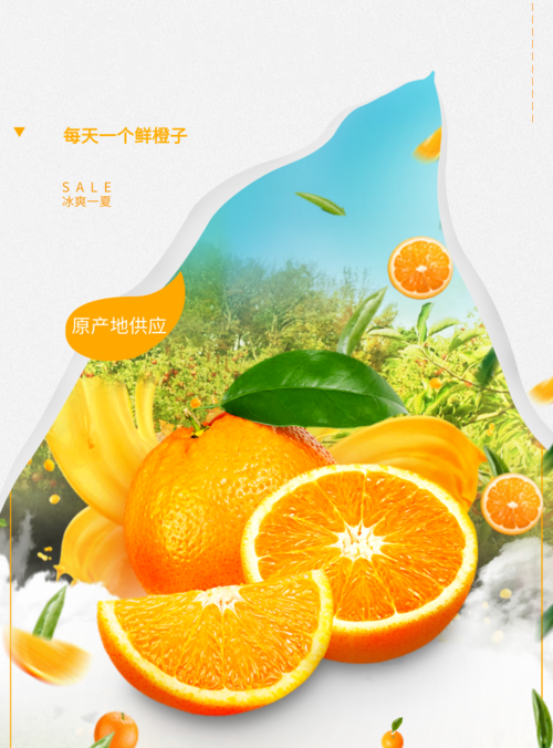 简约创意水果鲜橙印刷海报