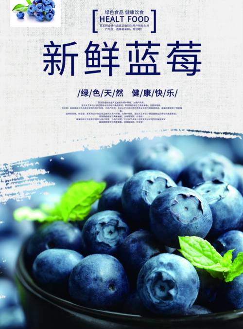 简约风新鲜蓝莓印刷海报