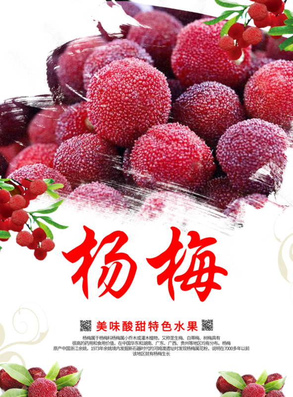 简约风水果杨梅印刷海报-凡科快图