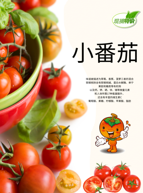 小清新风小番茄印刷海报