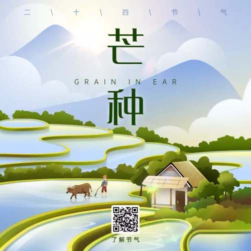 插画风芒种节气祝福方形海报