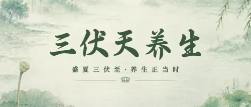 中国风三伏天祝福宣传公众号推送首图
