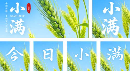 3D风清新麦穗小满节日祝福公众号推送套装
