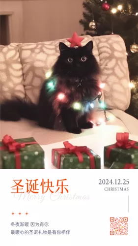 可爱猫猫圣诞祝福每日一签