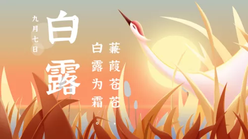 手绘风动态白露节气祝福问候横版海报