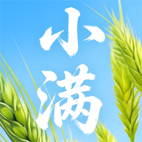 3D风清新麦穗小满节日祝福公众号推送首图