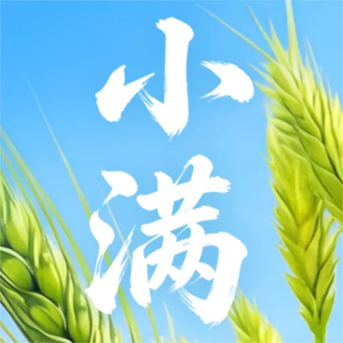 3D风清新麦穗小满节日祝福公众号推送首图