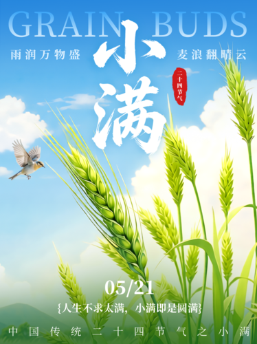 3D风清新麦穗小满节日祝福小红书配图