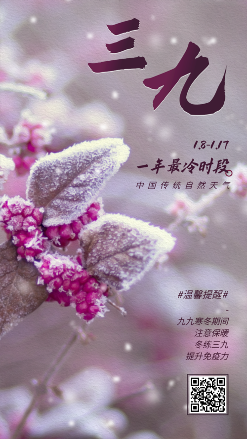 简约图文传统气候九九寒冬三九手机海报