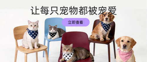 简约风宠物用品宣传公众号推送首图