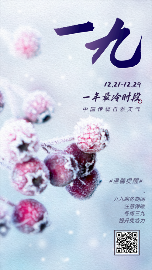 简约图文传统气候九九寒冬一九手机海报