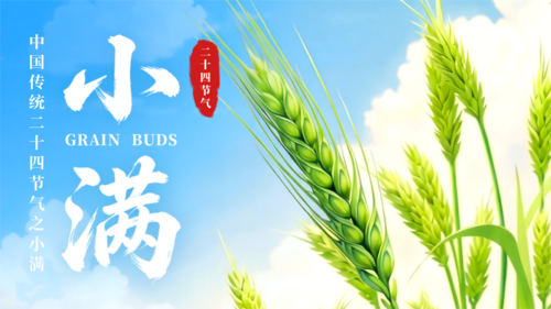 3D风清新麦穗小满节日祝福横版海报