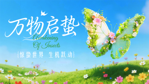 清新风梦幻感惊蛰节气植物蝴蝶花朵横版海报