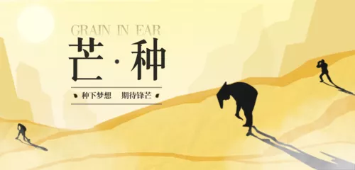 简约风芒种节气祝福问候移动端横幅