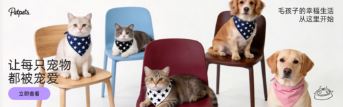 简约风宠物用品宣传PC端横幅