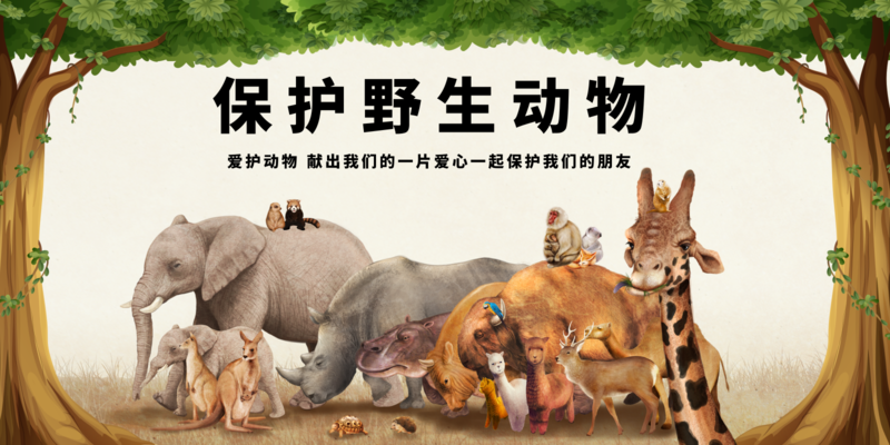 简约保护野生动物展板