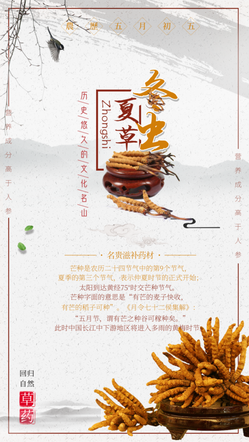 中国风冬虫夏草手机海报