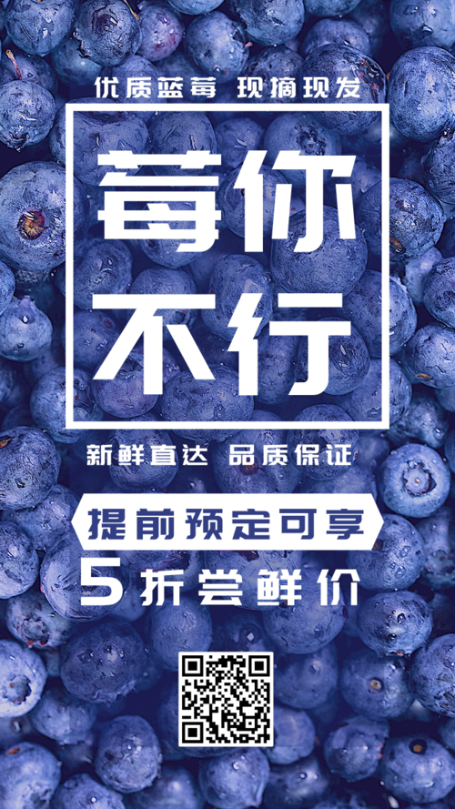 简约风蓝莓水果促销手机海报