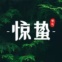 简约惊蛰节气公众号小图