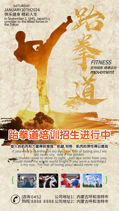 武术风格跆拳道健身运动手机海报