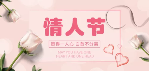 简约粉色情人节移动端横幅