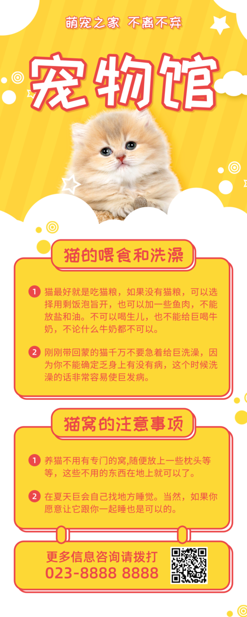 黄色宠物店猫咪服务营销长图